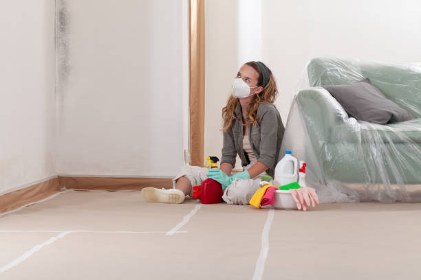 Reliable Mold Remediation contractor in Newport News, VA by Cheap Mold Removal